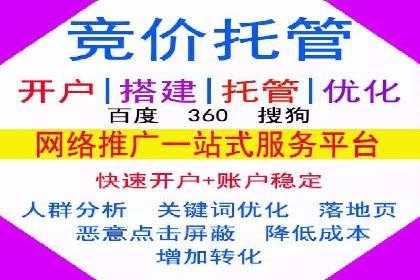 探索SEM优化托管的成功案例与策略